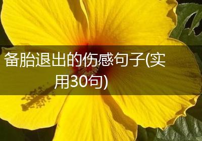 备胎退出的伤感句子(实用30句)