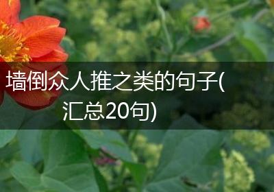 墙倒众人推之类的句子(汇总20句)