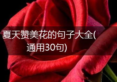 夏天赞美花的句子大全(通用30句)