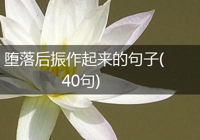 堕落后振作起来的句子(40句)