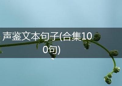 声鉴文本句子(合集100句)