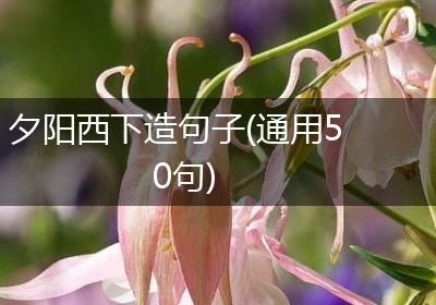 夕阳西下造句子(通用50句)