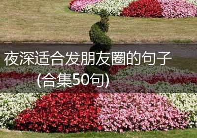 夜深适合发朋友圈的句子(合集50句)