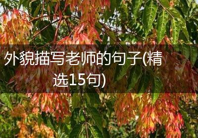 外貌描写老师的句子(精选15句)