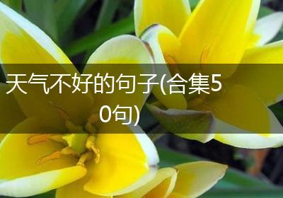 天气不好的句子(合集50句)