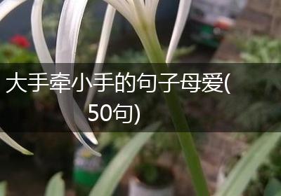 大手牵小手的句子母爱(50句)