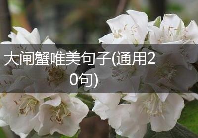 大闸蟹唯美句子(通用20句)
