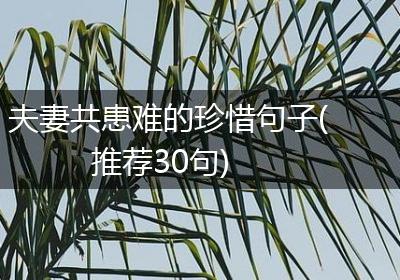 夫妻共患难的珍惜句子(推荐30句)