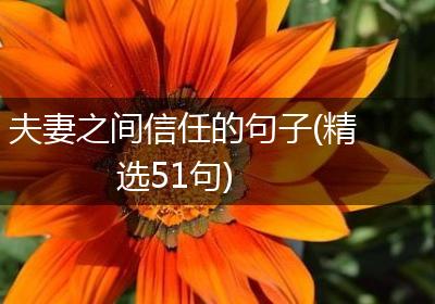夫妻之间信任的句子(精选51句)