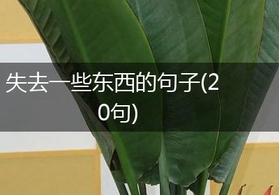 失去一些东西的句子(20句)