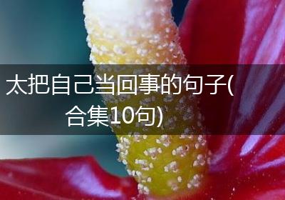 太把自己当回事的句子(合集10句)