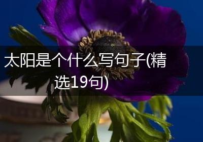 太阳是个什么写句子(精选19句)