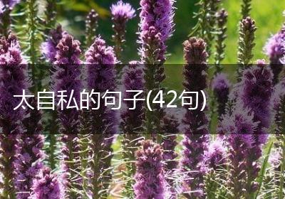 太自私的句子(42句)