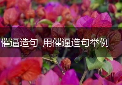 催逼造句_用催逼造句举例
