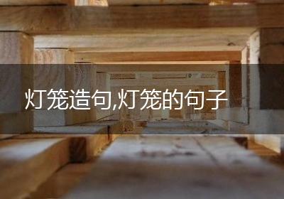 灯笼造句,灯笼的句子