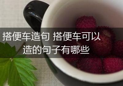 搭便车造句 搭便车可以造的句子有哪些