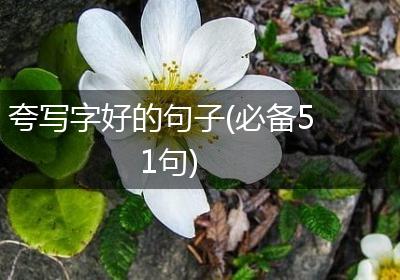 夸写字好的句子(必备51句)