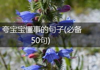 夸宝宝懂事的句子(必备50句)