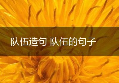 队伍造句 队伍的句子