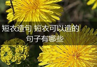 短衣造句 短衣可以造的句子有哪些