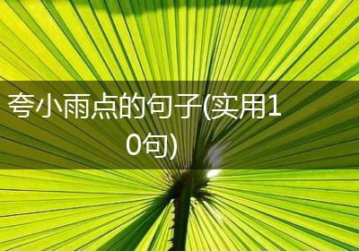 夸小雨点的句子(实用10句)