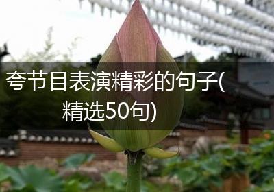 夸节目表演精彩的句子(精选50句)