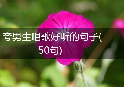 夸男生唱歌好听的句子(50句)