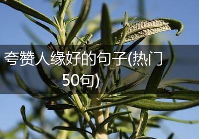 夸赞人缘好的句子(热门50句)