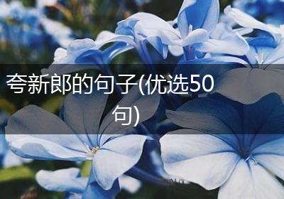夸新郎的句子(优选50句)