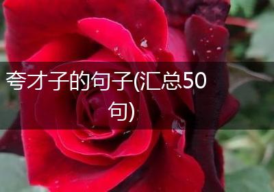 夸才子的句子(汇总50句)