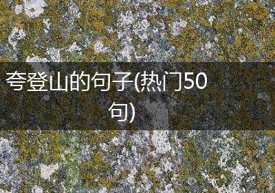 夸登山的句子(热门50句)