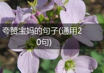 夸赞宝妈的句子(通用20句)
