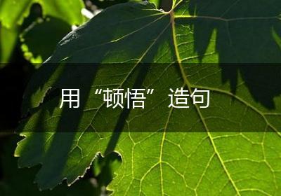 用“顿悟”造句