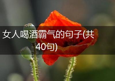 女人喝酒霸气的句子(共40句)