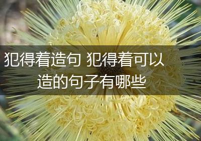 犯得着造句 犯得着可以造的句子有哪些