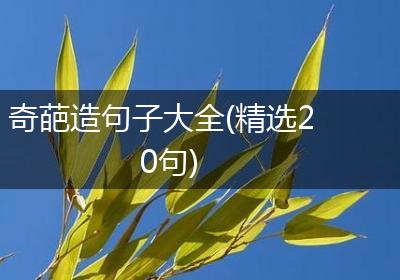奇葩造句子大全(精选20句)