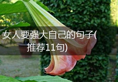 女人要强大自己的句子(推荐11句)