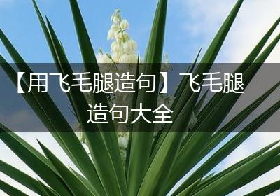 【用飞毛腿造句】飞毛腿造句大全