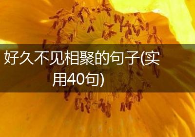 好久不见相聚的句子(实用40句)