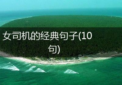 女司机的经典句子(10句)