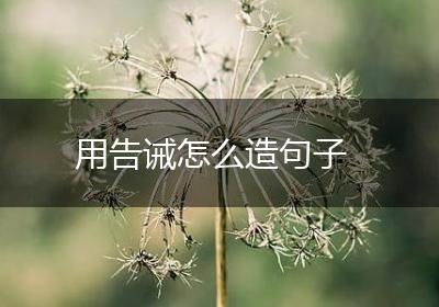 用告诫怎么造句子