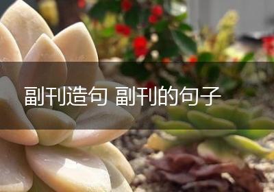 副刊造句 副刊的句子