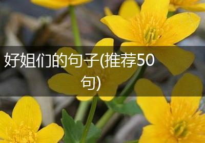 好姐们的句子(推荐50句)