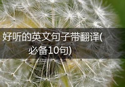 好听的英文句子带翻译(必备10句)