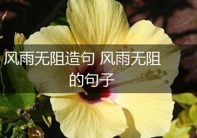 风雨无阻造句 风雨无阻的句子
