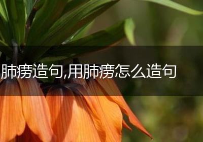 肺痨造句,用肺痨怎么造句