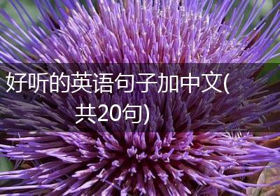 好听的英语句子加中文(共20句)