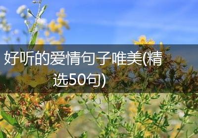 好听的爱情句子唯美(精选50句)