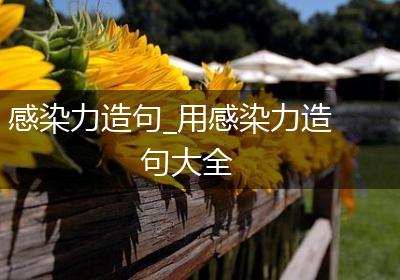 感染力造句_用感染力造句大全