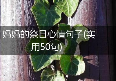 妈妈的祭日心情句子(实用50句)